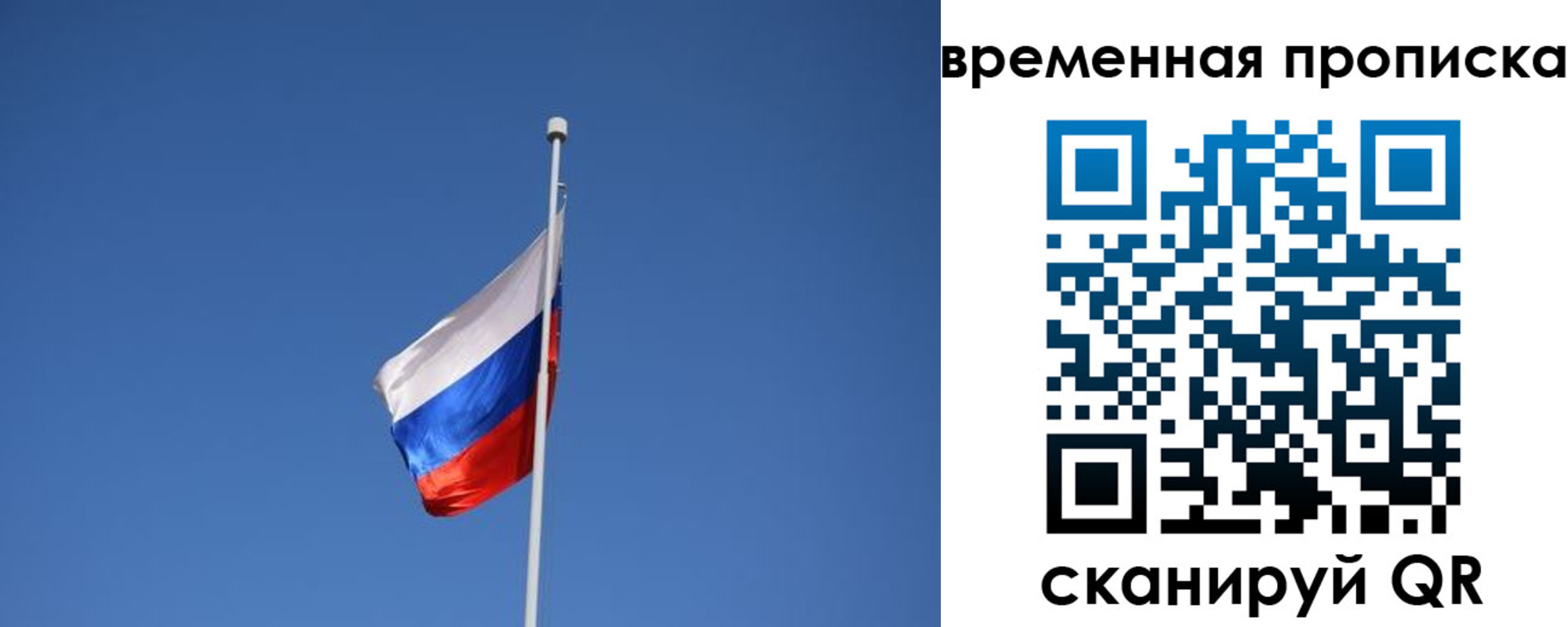 временная регистрация гарантия в Ленинградской области